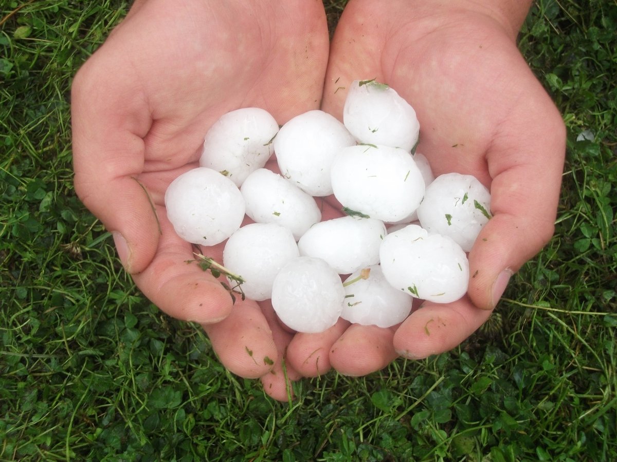 Holding hailstones from a recent hailstorm.